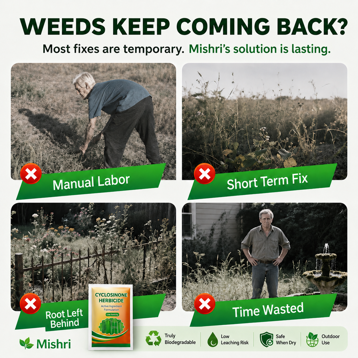 Cyclosinone Herbicide – Outdoor Weed & Unwanted Growth Control Granules