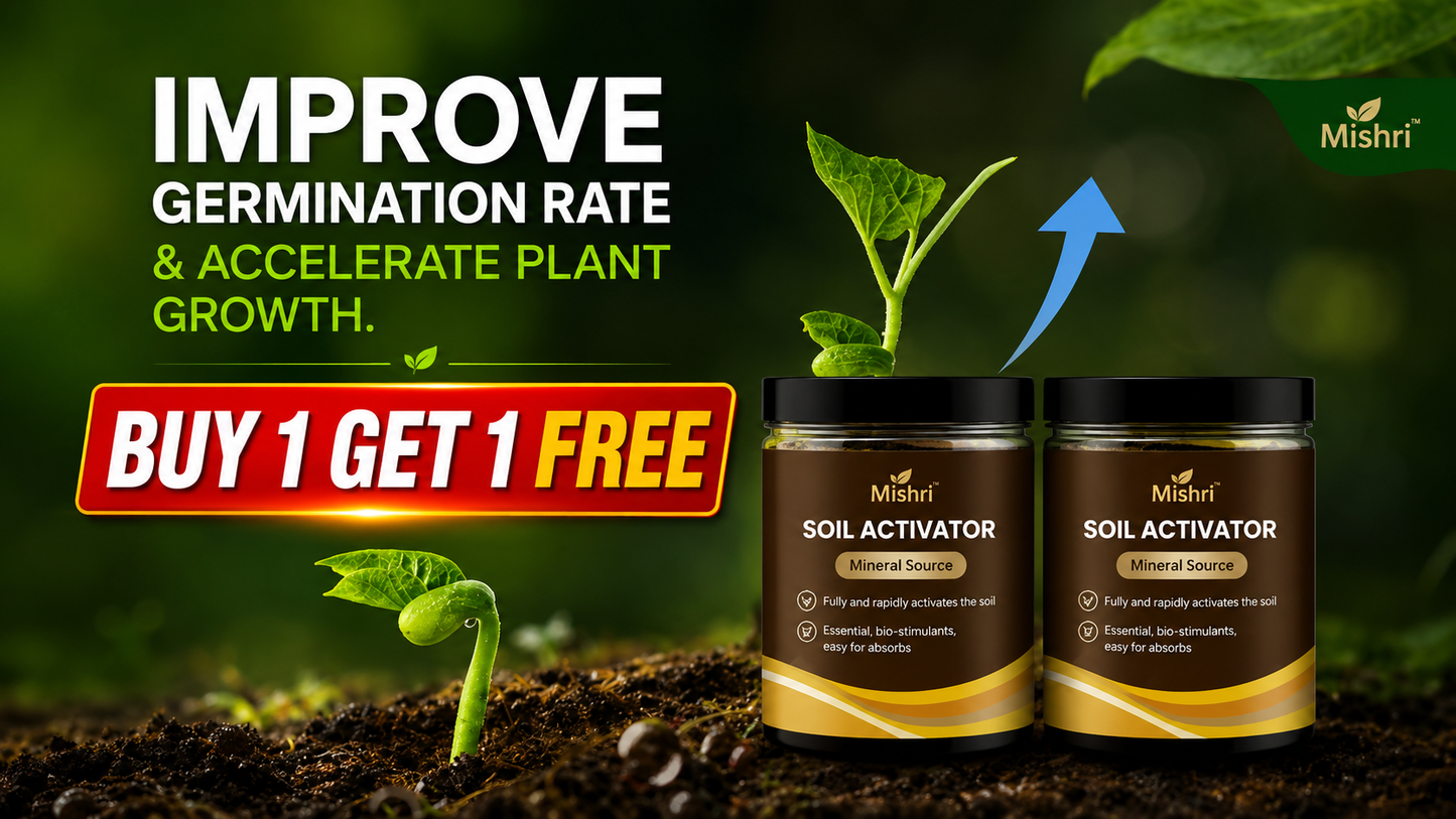 Mishri Soil Activated Treasure – Soil Activator for Healthy Plant Growth